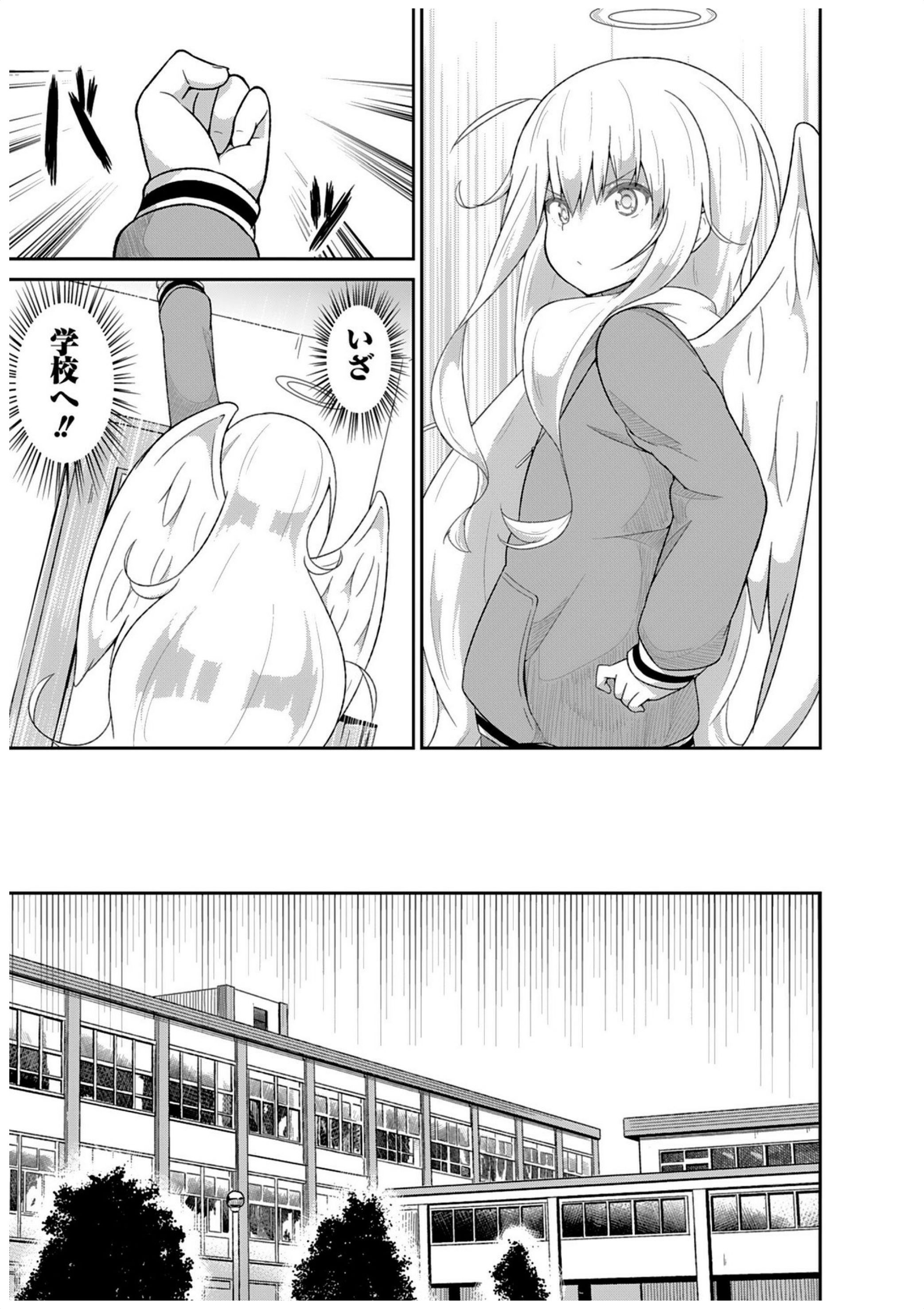 Chapter 23