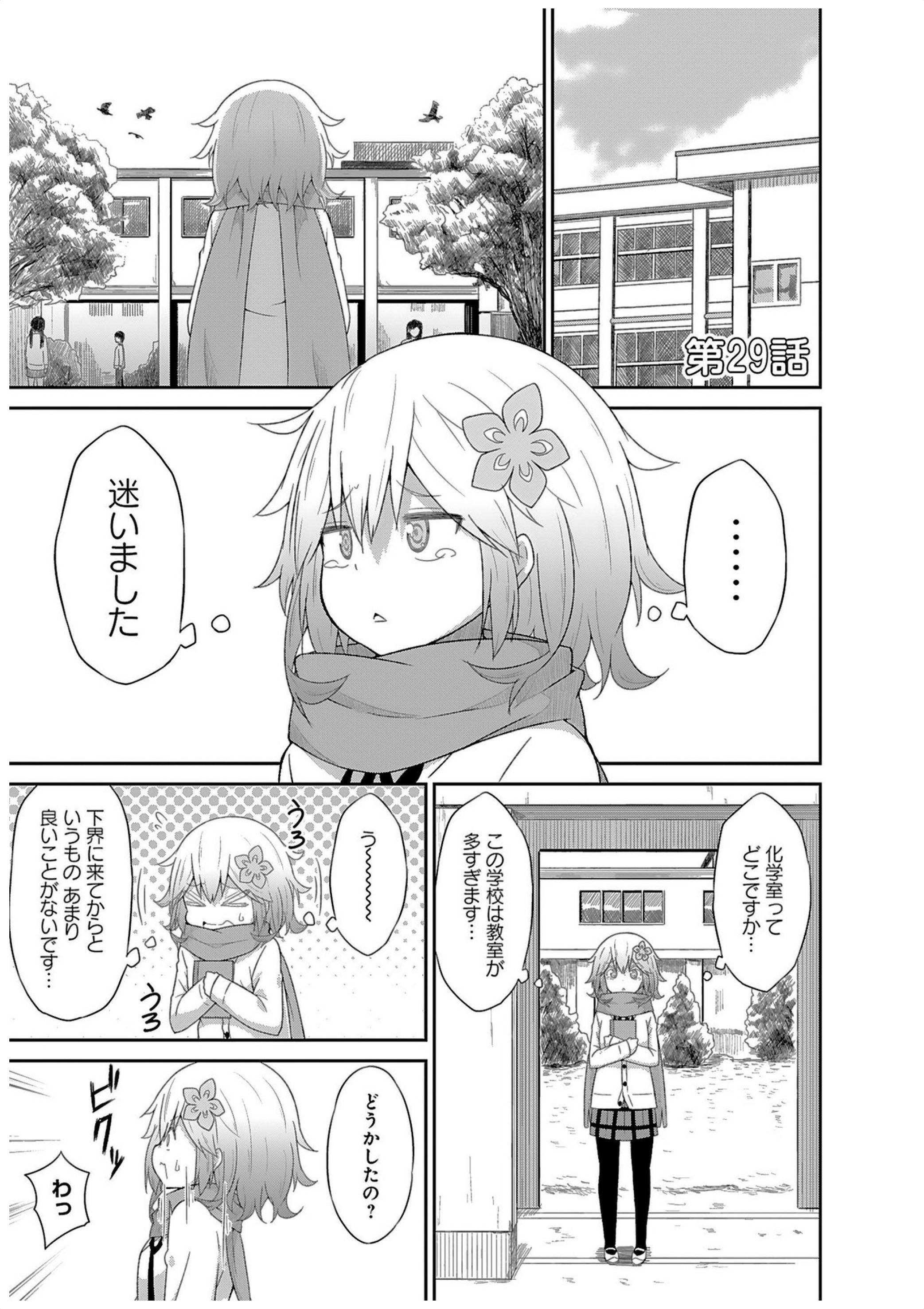 Chapter 29