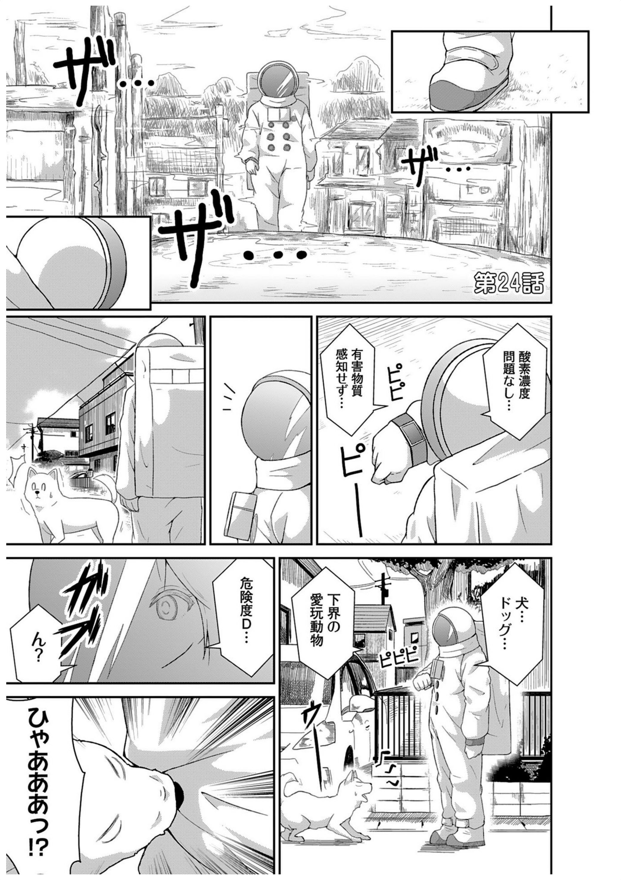 Chapter 24